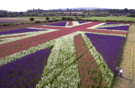 UNION JACK Field