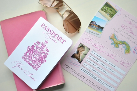 ds-passport-paradise